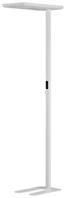Lampadar, Lampa de podea LED cu senzor de lumina BIOLIGHT NVL-9416978