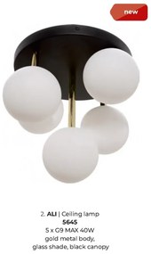 Plafoniera design modern Ali 5L