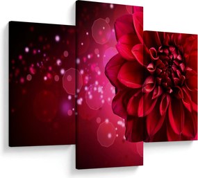 Tablou cu floare roșie (90x60 cm)
