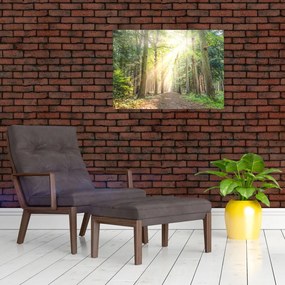 Tablou - Poteci în pădure (70x50 cm)