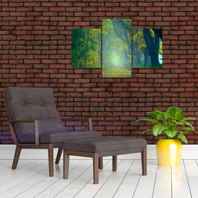 Tablou cu drum dea lungul cu copaci (90x60 cm)