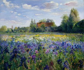 Reproducere Evening at the Iris Field, Timothy Easton