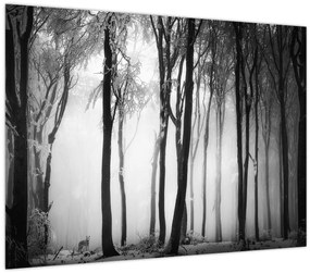 Tablou pe sticlă - Lup în pădurea întunecată (70x50 cm)