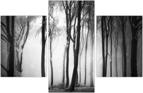 Tablou - Lup în pădurea întunecată (90x60 cm)