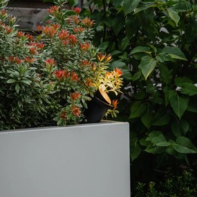 Spotlight cu pichet pentru gradina negru inclusiv cablu si priza IP65 - Done