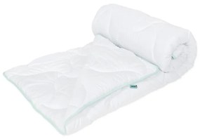 Pilotă Wendre Aloe Vera, 140 x 200 cm