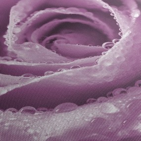 Tablou detaliu de floare de trandafir (120x50 cm)