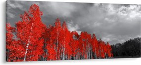 Tablou - Copaci în culorile toamnei (120x50 cm)