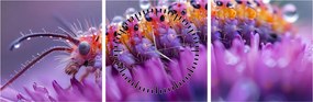 Tablou - Caterpillar (cu ceas) (90x30 cm)