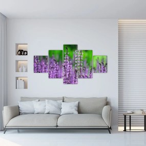Tablou cu flori de luncă violete (125x70 cm), în 40 de alte dimensiuni noi