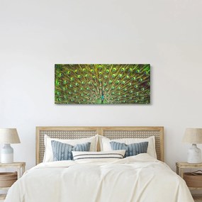Tablou - Peacock (120x50 cm)