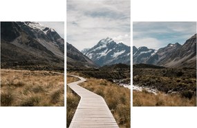 Tablou - Poteca în valea muntelui Mt. Cook (90x60 cm)