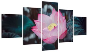 Tablou cu floare roz (125x70 cm), în 40 de alte dimensiuni noi