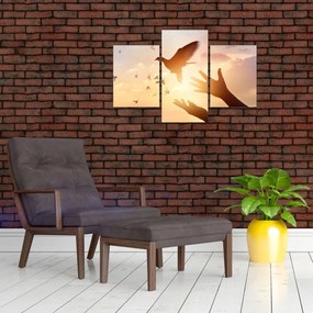 Tablou - Porumbițo, zboară! (90x60 cm)