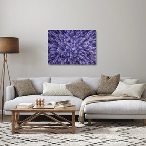 Tablou pe sticlă cu copacii înzăpeziți (70x50 cm)