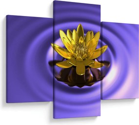 Tablou - Lotus (90x60 cm)