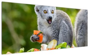 Tablou cu lemur (120x50 cm)