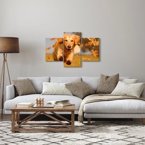 Tablou - Golden Retriever (90x60 cm)
