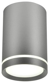 Plafonieră TUBA GU10/15W/230V