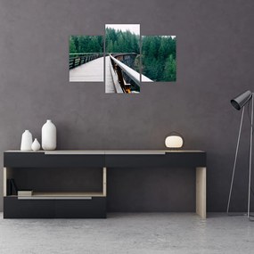 Tablou - Pod spre vârfurile copacilor (90x60 cm)