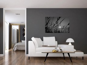 Tablou - Pajiște cu apus de soare (90x60 cm)