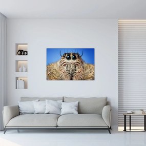 Tablou cu detalii a unui pâianjen (90x60 cm)