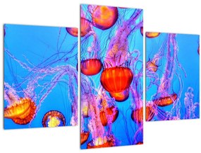 Tablou cu meduse în mare (90x60 cm)