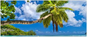 Tablou - Seychelles (120x50 cm)