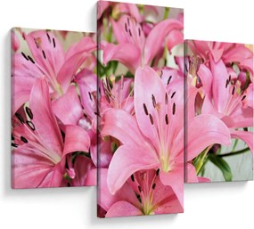 Tablou - Liliac roz (90x60 cm)