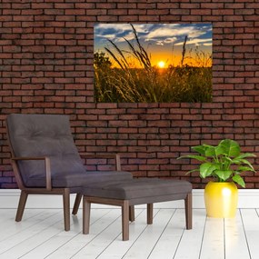 Tablou cu câmp în apus de soare (90x60 cm)