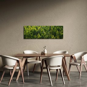 Tablou - Pădure deasă (cu ceas) (90x30 cm)