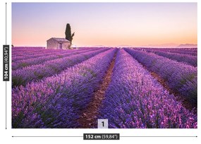 Fototapet Provence Lavandă