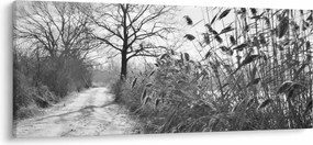 Tablou - Câmpuri în timpul iernii (120x50 cm)
