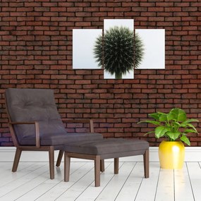 Tablou - Sfere de flori (90x60 cm)