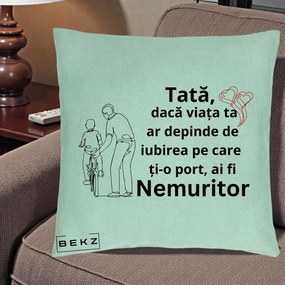 Cadou pentru Tata - Perna Personalizata Tata Nemuritor Bicicleta, 40x40 cm, Verde Menta, Husa Detasabila, Perna Inclusa, BEKZ®