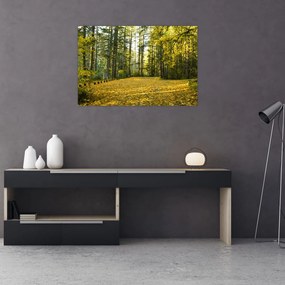 Tablou - pădurea toamna (90x60 cm)