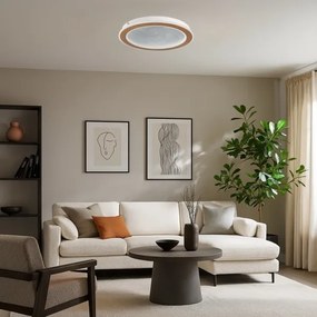 Plafonieră LED Rabalux ZOFRAEL 71281-LED, dimabilă, 24W/230V, 3000-6500K, Ø40 cm, cu telecomandă