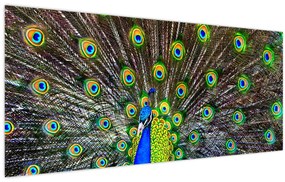 Tablou - Păun (120x50 cm)