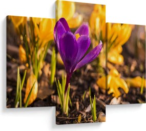 Tablou cu floare violetă (90x60 cm)