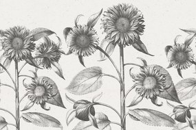 Fototapet, Sunflower, Beige, Rebel Walls
