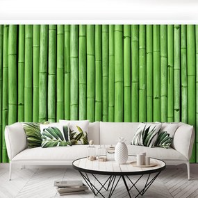 Fototapet Bamboo Green