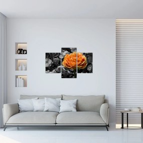 Tablou cu floare (90x60 cm)
