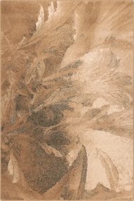 Covor lana Lotis Beige Selectează mărime: 080 X 120