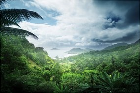 Tablou -Jungla din Seychelles (90x60 cm)