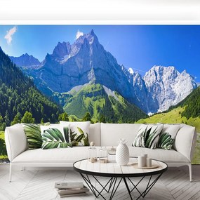 Fototapet Panorama Alpii