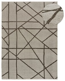 Covor maro deschis 120x170 cm Lux – Universal