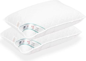 Set lemn masiv 2 Perne Hipoalergenice Matlasate cu Microfibra 60x60 cm