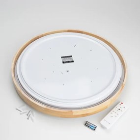 Brilagi - Plafonieră LED dimabilă PINE LED/60W/230V + telecomandă