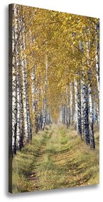 Tablou canvas Pădurea de mesteacăn
