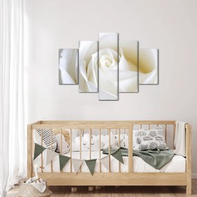 Tablou cu tandafir alb (150x105 cm)